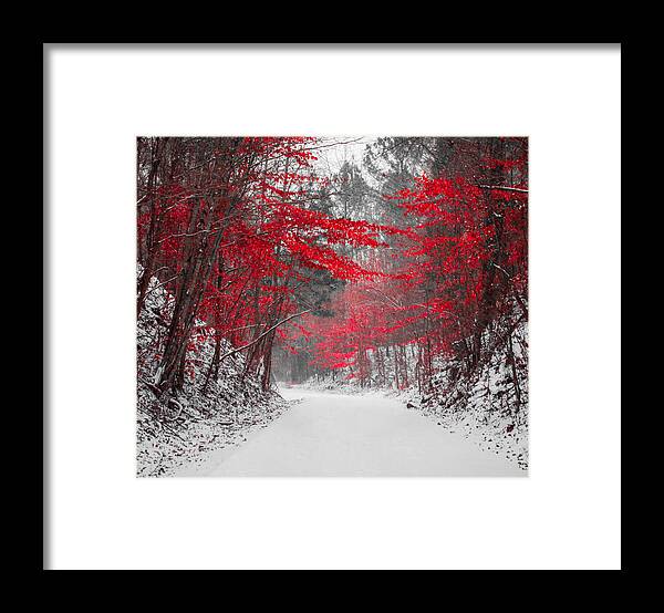 Red Blossoms Framed Print featuring the photograph Red Blossoms Horizontal by Parker Cunningham