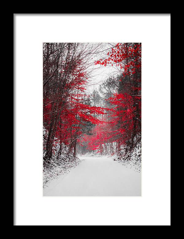 Red Blossoms Framed Print featuring the photograph Red Blossoms by Parker Cunningham