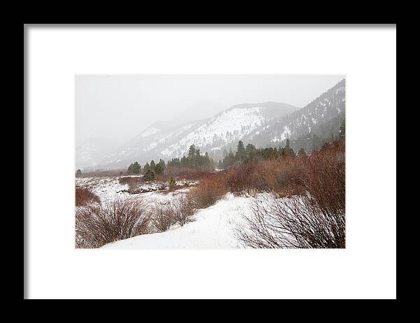 White Framed Print featuring the photograph Red Brush by Marilyn Hunt