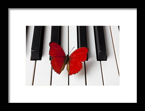 Red Butterfly Framed Print featuring the photograph Red Butterfly On Piano Keys by Garry Gay