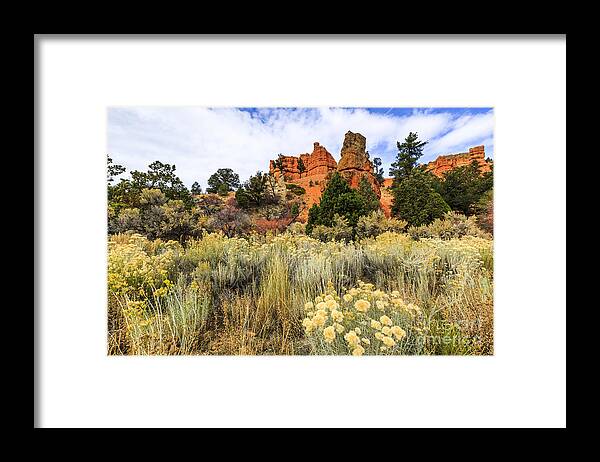 Red Canyon Framed Print featuring the photograph Red Canyon Area Utah by Ben Graham