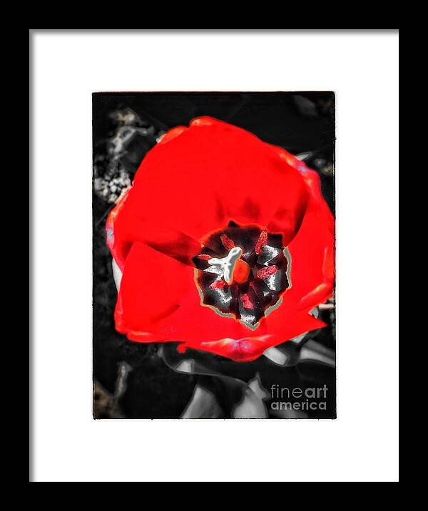Landscape Framed Print featuring the photograph Red by Christine Paris