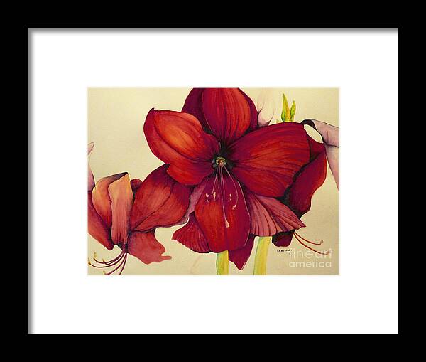Amaryllis Framed Print featuring the painting RED Christmas Amaryllis by Rachel Lowry
