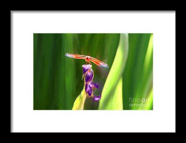 Dragonfly Framed Print featuring the painting Red Dragonfly on Purple Flower by Lisa Redfern