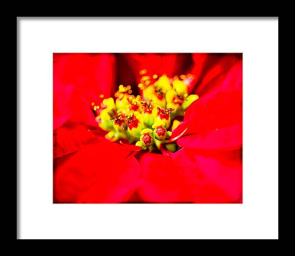 Abstract Framed Print featuring the photograph Red by Elin Skov Vaeth