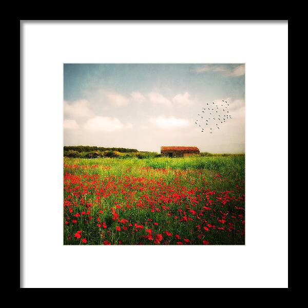 Poppies Framed Print featuring the photograph Red Field by Philippe Sainte-Laudy