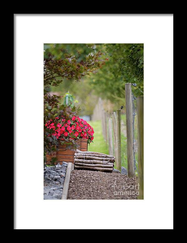 Country Framed Print featuring the photograph Red flowerd with Fende and wood billet bundle by Amanda Mohler