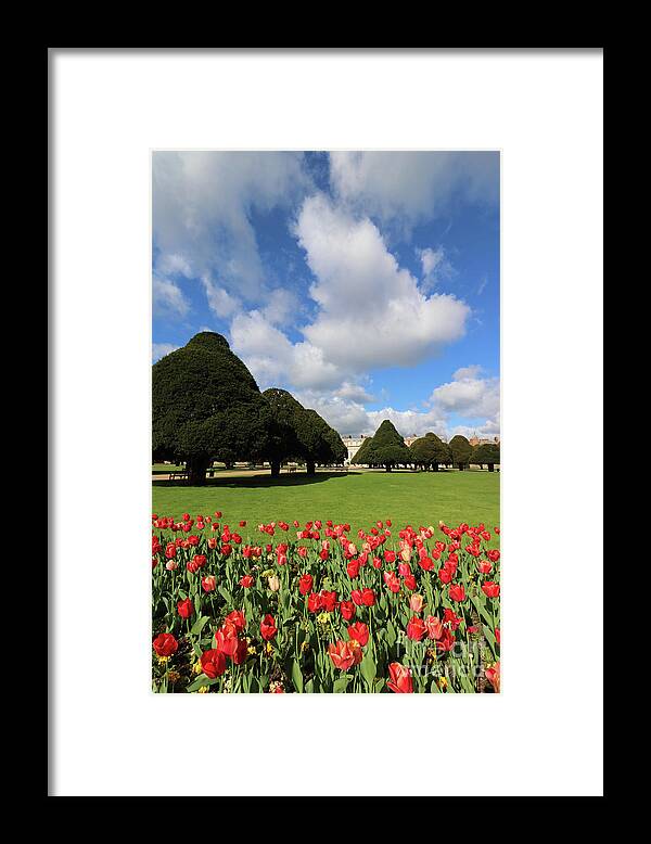 Spring Framed Print featuring the photograph Red Flowers at Hampton Court by Julia Gavin