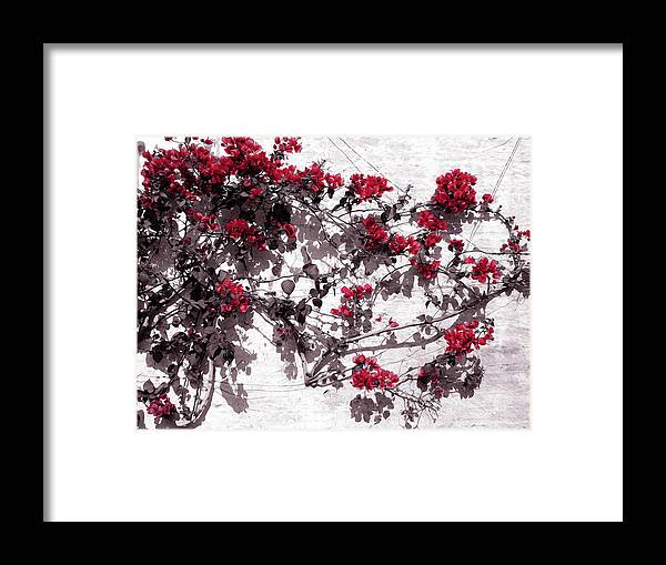 Red Flower Framed Print featuring the painting Red Flowers on White Walls by AM FineArtPrints