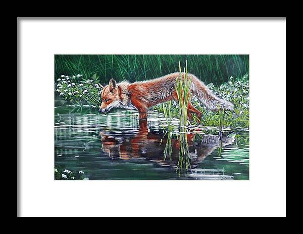Fox Framed Print featuring the painting Red Fox Reflecting by John Neeve
