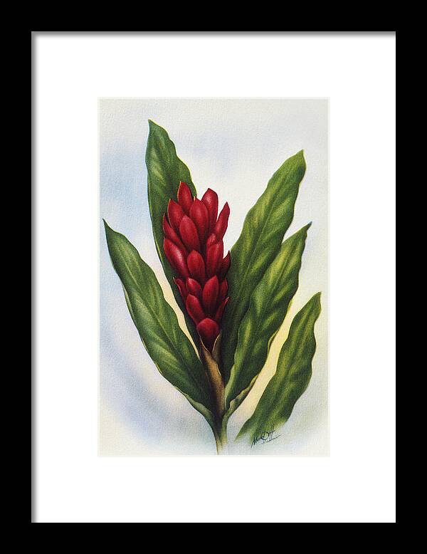 1940 Framed Print featuring the painting Red Ginger by Hawaiian Legacy Archive - Printscapes