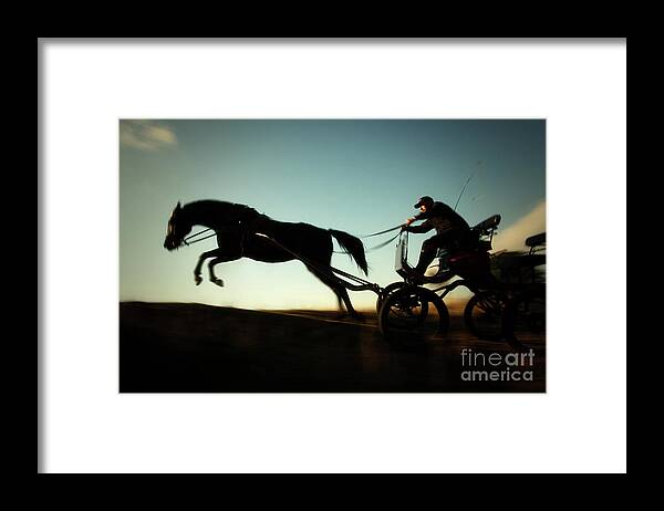 Horse Framed Print featuring the photograph Red Hawk Pony by Dimitar Hristov