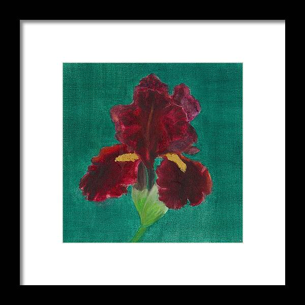 Flower Framed Print featuring the painting Red Iris by Paula Emery