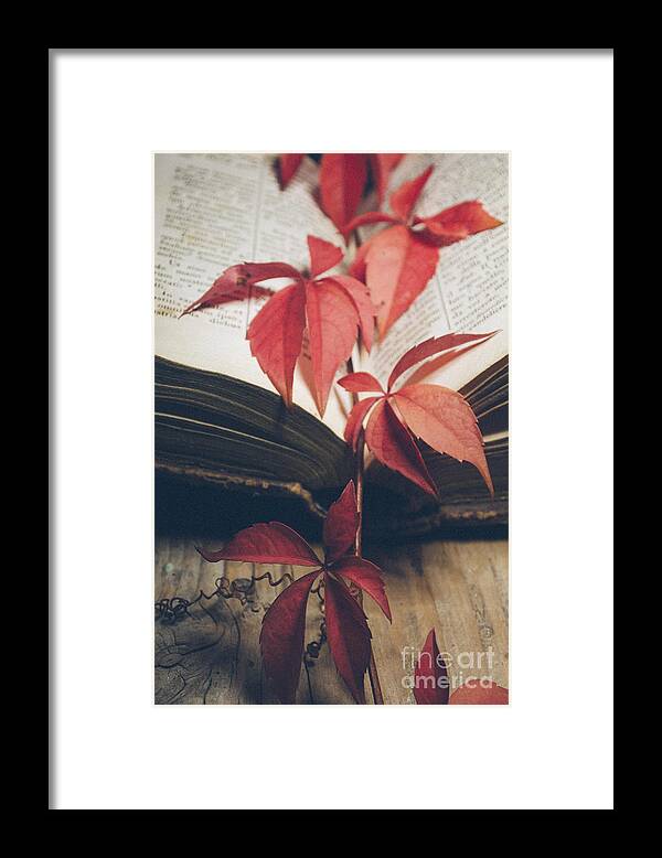 Book Framed Print featuring the photograph Red ivy by Jelena Jovanovic