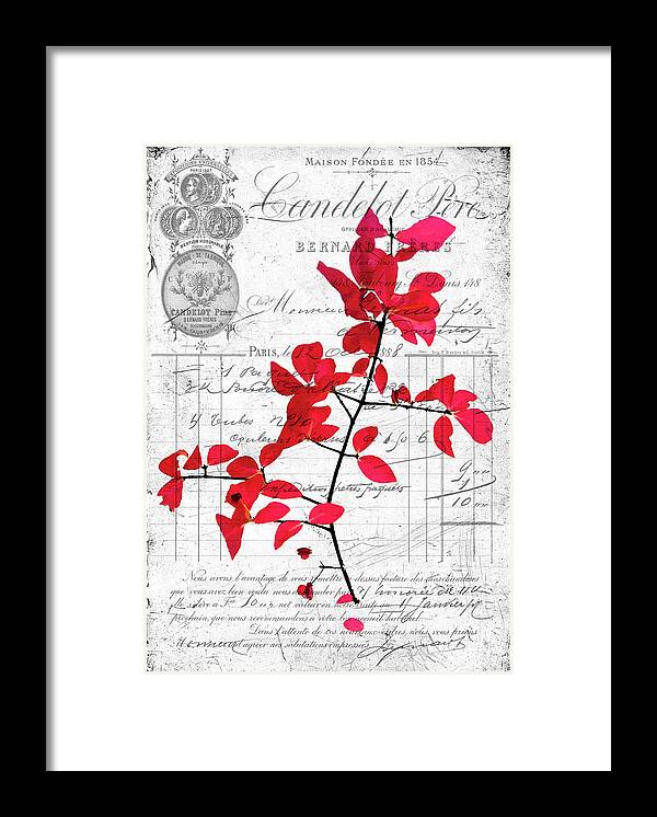 Black Framed Print featuring the photograph Red Leaves by Cathy Kovarik