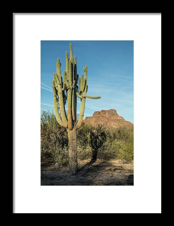 Red Framed Print featuring the photograph Red Mountain and Saguaro Shadow 2439-032118-cr by Tam Ryan