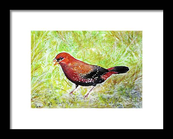 Bird Framed Print featuring the painting Red Munia by Jasna Dragun