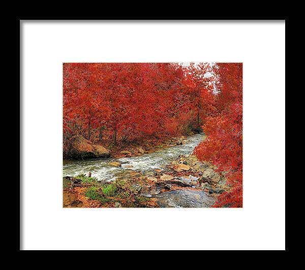Nature Framed Print featuring the photograph Red Oak Creek by Scott Cordell