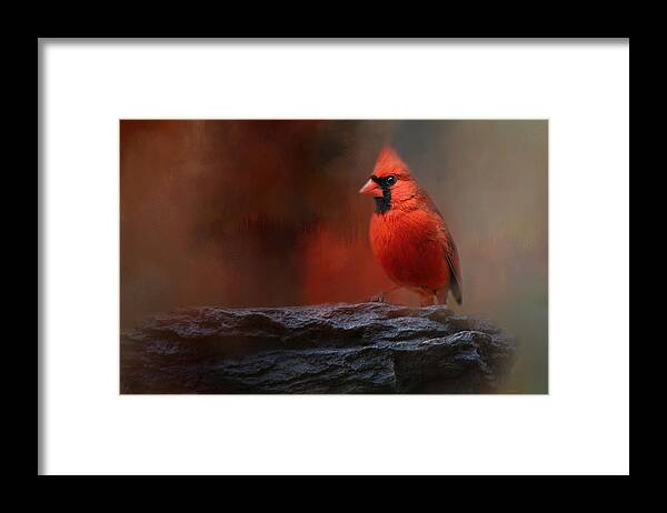 Jai Johnson Framed Print featuring the photograph Red On The Rocks - Cardinal Bird Art by Jai Johnson