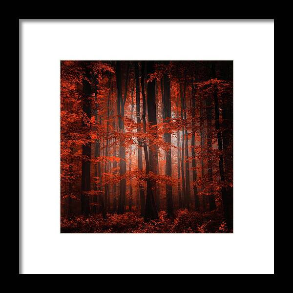 Forest Framed Print featuring the photograph Red Parallel Universe by Philippe Sainte-Laudy