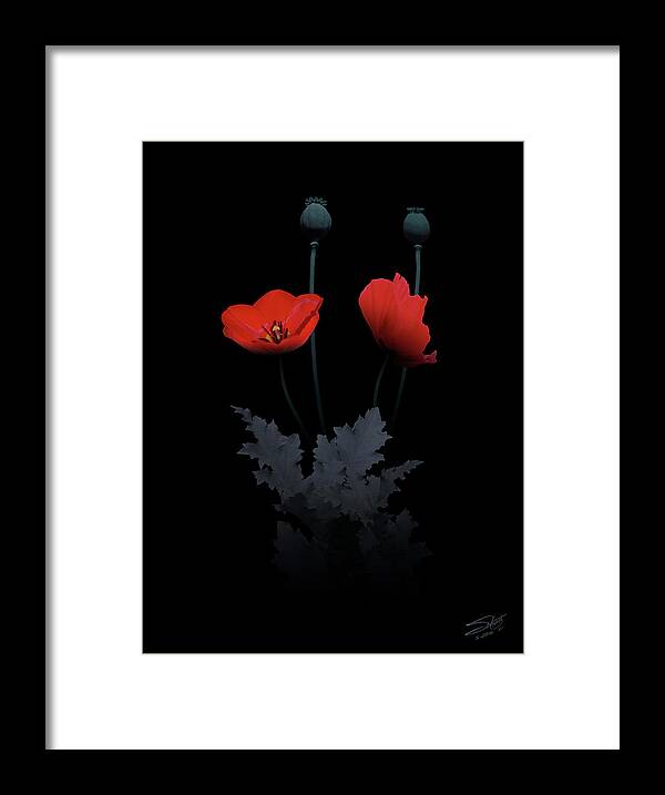 Poppy Framed Print featuring the painting Red Poppy Flower by M Spadecaller