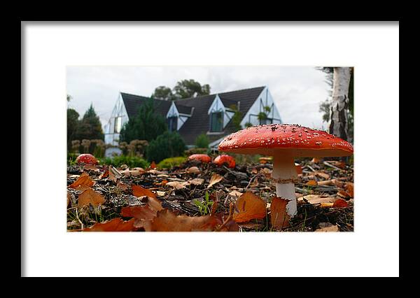 Fly Agaric Framed Print featuring the photograph Red Riding Hood by Evelyn Tambour