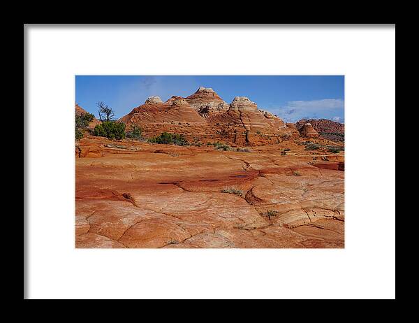 Coyote Framed Print featuring the photograph Red Rock Buttes by Tranquil Light Photography