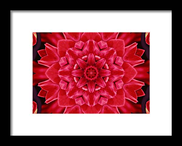 Roses Framed Print featuring the photograph Red Rose Kaleidoscope by Cathie Tyler
