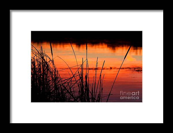 Sunsets Framed Print featuring the photograph Red Skies by Jim Garrison