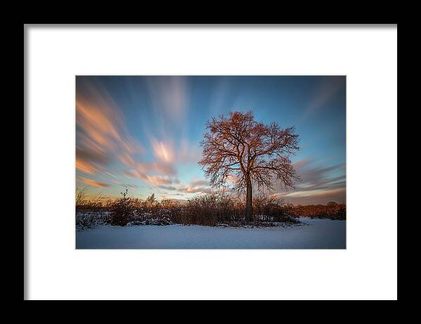 Landscape Framed Print featuring the photograph Red tree by Davorin Mance