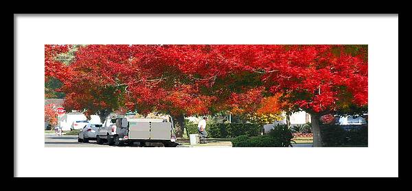Fresno Streets Framed Print featuring the painting Red Trees by Gail Daley