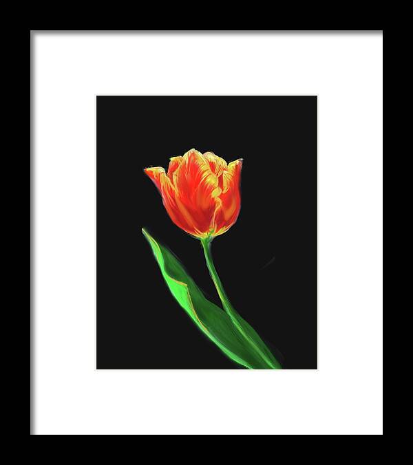 Red Framed Print featuring the digital art Red Tulip on Velvet Black by Cynthia Westbrook