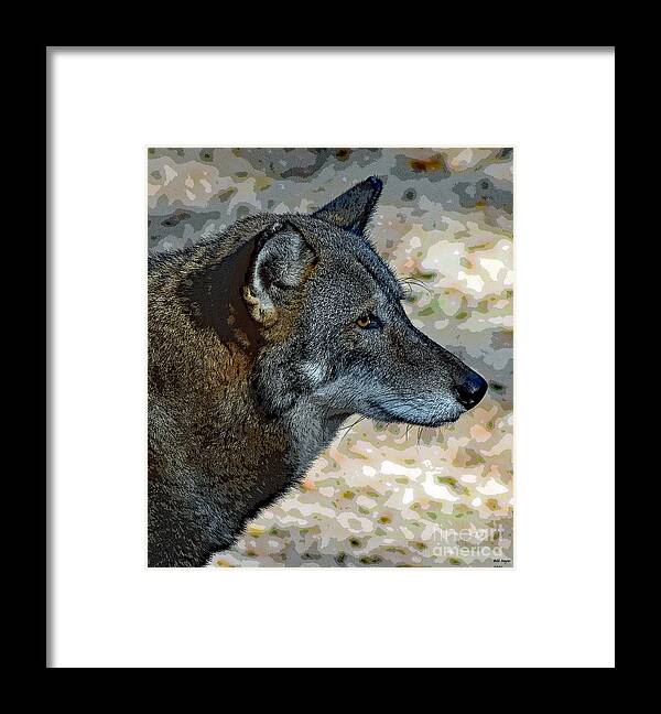 Art Framed Print featuring the photograph Red Wolf by DB Hayes
