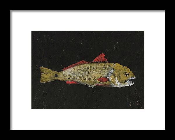 Rubbing Framed Print featuring the mixed media Gyotaku Redfish 17-12 by Captain Warren Sellers