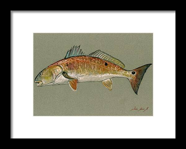 Redfish Watercolor Framed Print featuring the painting Redfish watercolor painting by Juan Bosco