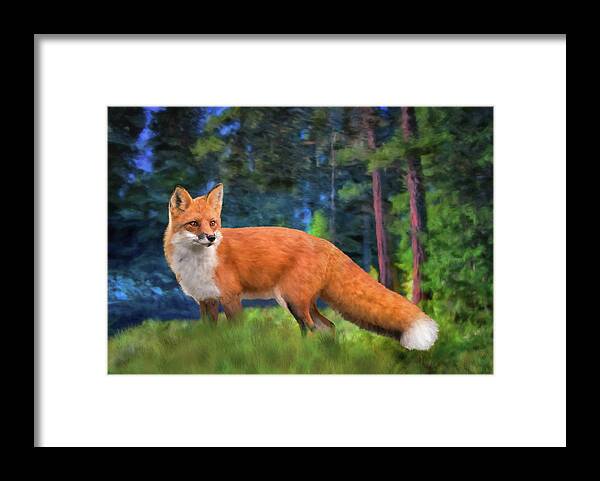  Framed Print featuring the digital art Red Fox by Bill Johnson