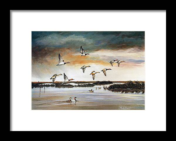 Wildlife Framed Print featuring the painting Redheads in Flight by Raymond Edmonds