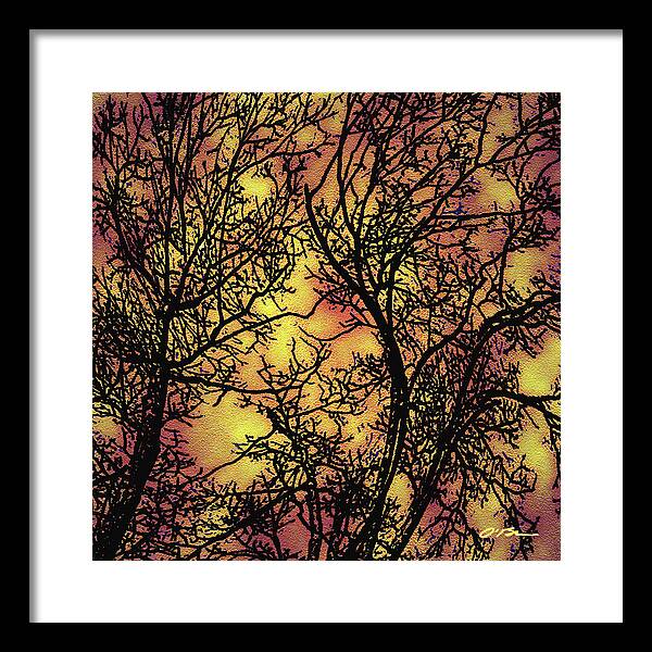 Trees Framed Print featuring the digital art Rediscovering the Light in The Ordinary by Claudia O'Brien