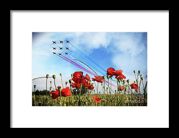 Red Arrows Framed Print featuring the digital art Reds and Poppies by Airpower Art
