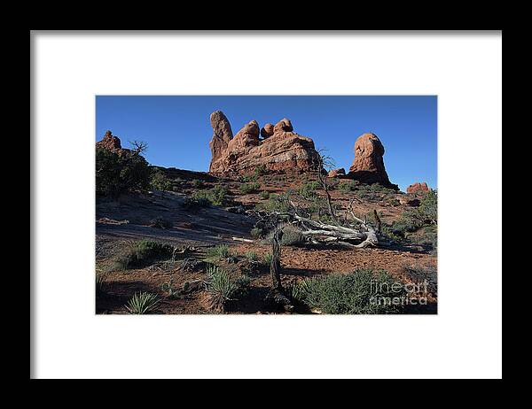 Utah Landscape Framed Print featuring the photograph Twisted Garden by Jim Garrison