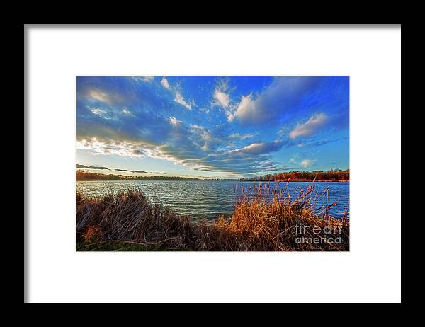 Reeds Framed Print featuring the photograph Reeds and Wind by David Arment