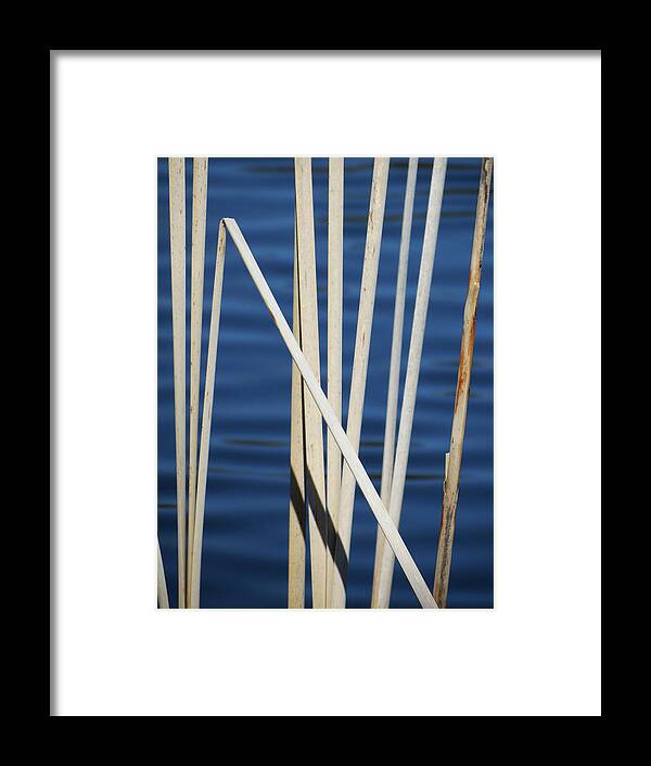 Water Framed Print featuring the photograph Reeds by Azthet Photography