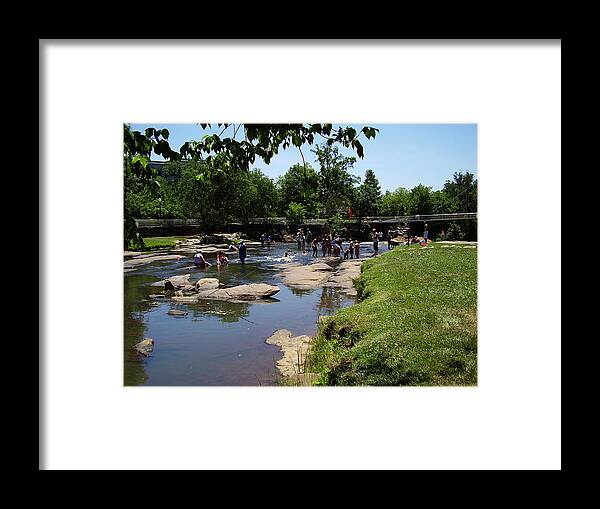Reedy River Framed Print featuring the photograph Reedy River by Flavia Westerwelle
