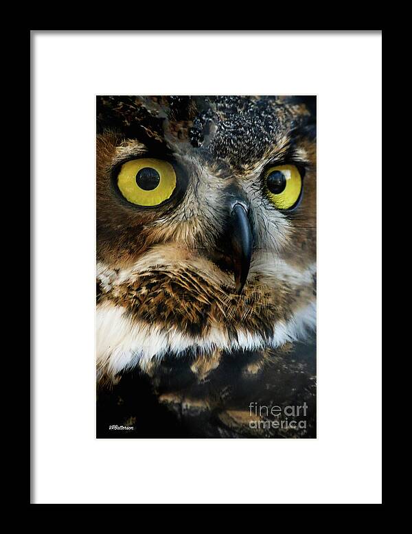 Owls Framed Print featuring the photograph Reelfoot Lake Owls by Veronica Batterson