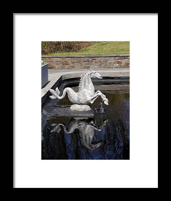Richard Reeve Framed Print featuring the photograph Reflections on a Sea Horse by Richard Reeve