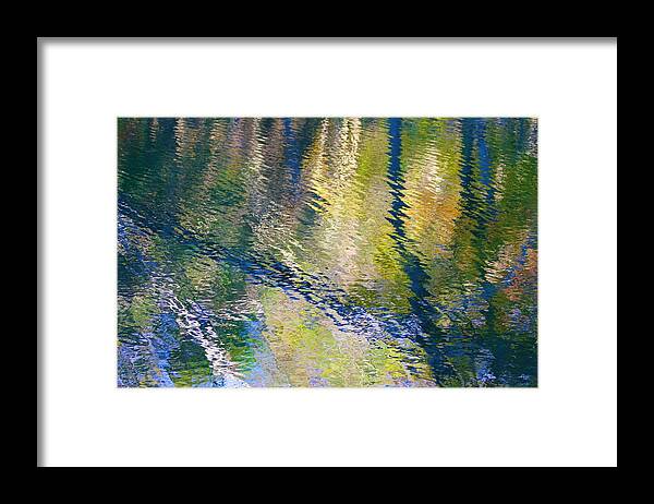  Framed Print featuring the photograph Reflected Trees by Polly Castor