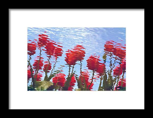 Reflection Framed Print featuring the photograph Reflected Tulips by Tom Vaughan