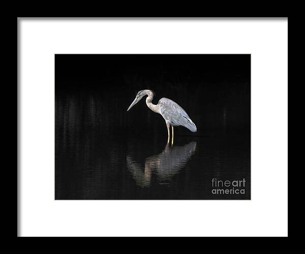 Heron Framed Print featuring the photograph Reflecting Heron by Judy Wolinsky