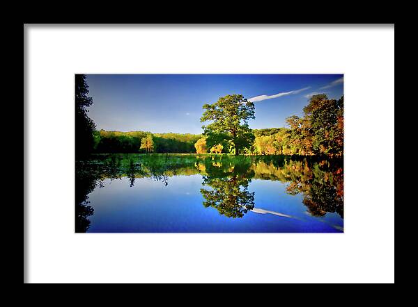 Swamp Framed Print featuring the photograph Reflecting Pond by David Henningsen