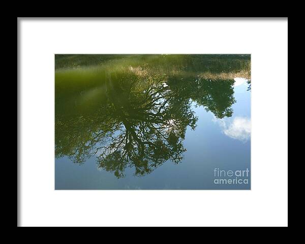 Reflection Framed Print featuring the photograph Reflection by JoAnn SkyWatcher
